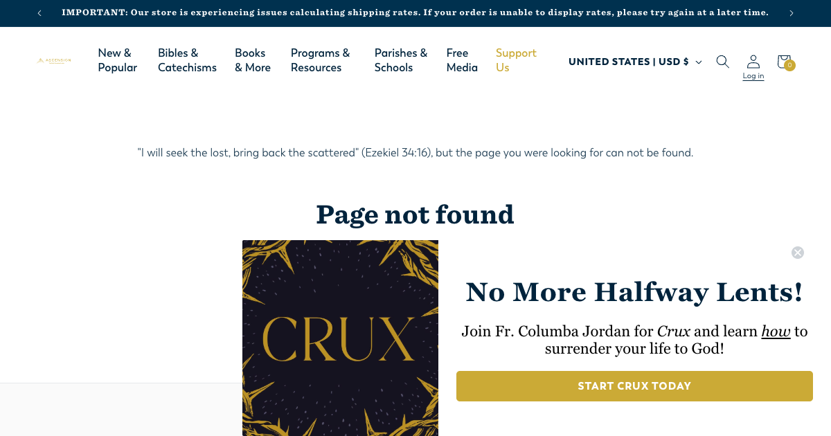 The Catechism in a Year (with Fr. Mike Schmitz)